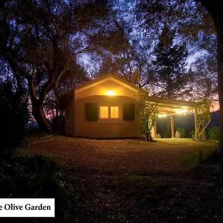 Ágios IoánnisHouse In The Olive Gardenアパートメント エクステリア 写真