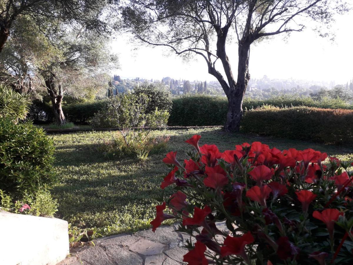Ágios IoánnisHouse In The Olive Gardenアパートメント エクステリア 写真