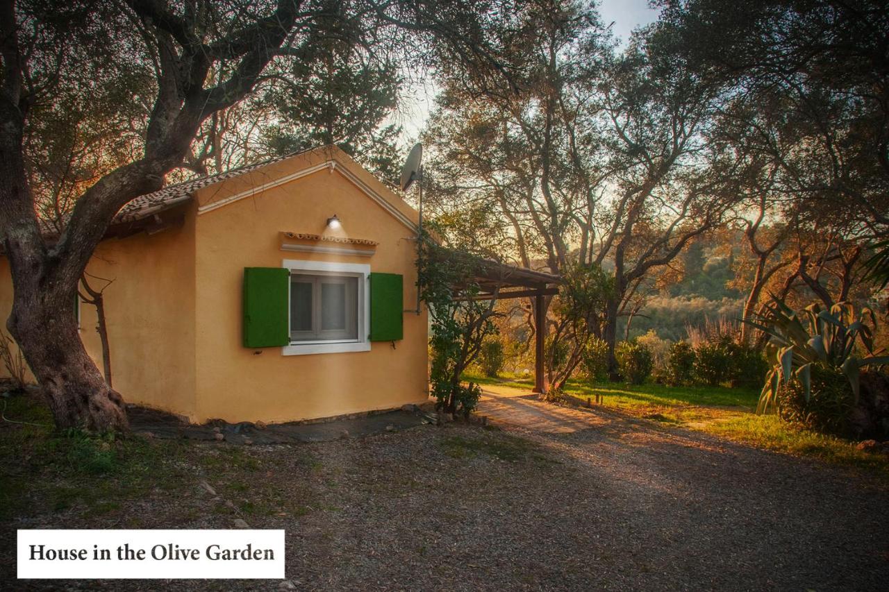 Ágios IoánnisHouse In The Olive Gardenアパートメント エクステリア 写真