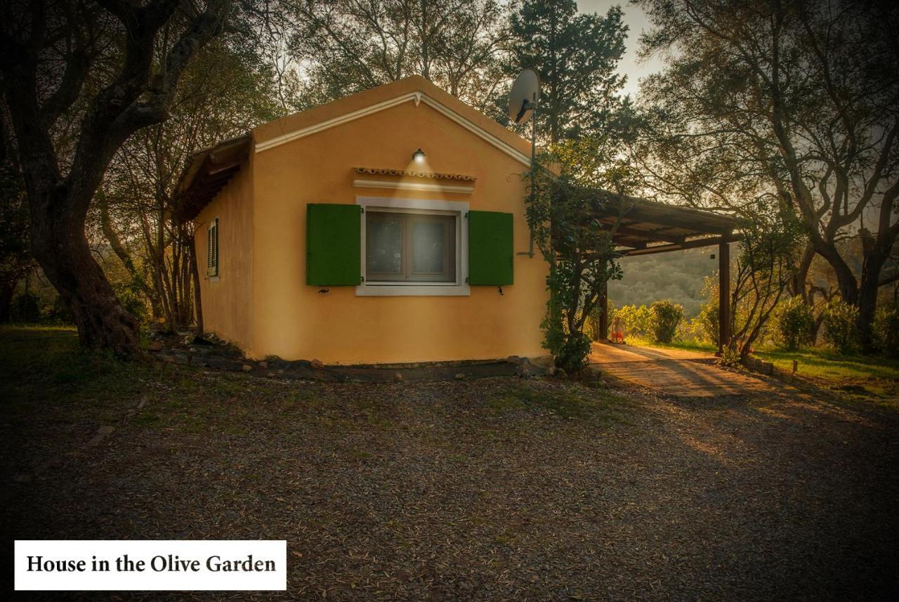 Ágios IoánnisHouse In The Olive Gardenアパートメント エクステリア 写真