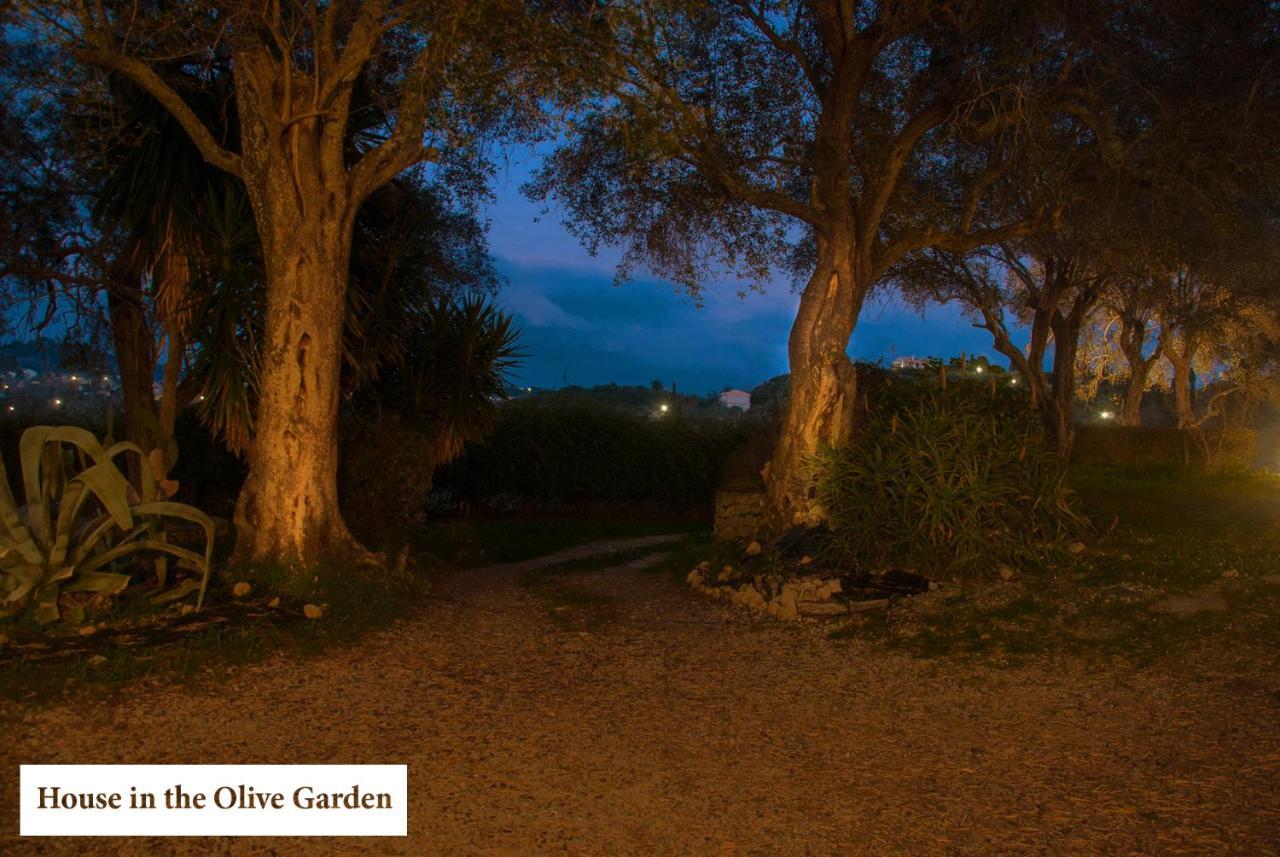 Ágios IoánnisHouse In The Olive Gardenアパートメント エクステリア 写真