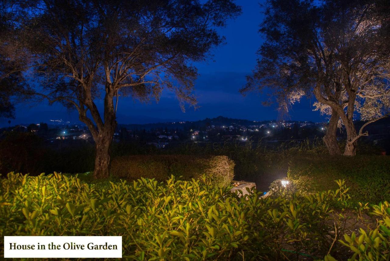 Ágios IoánnisHouse In The Olive Gardenアパートメント エクステリア 写真