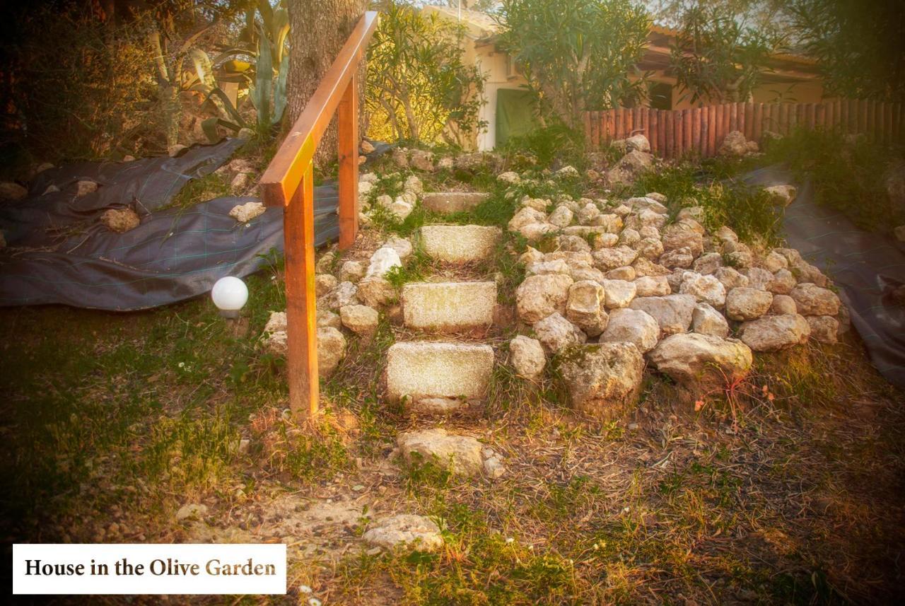 Ágios IoánnisHouse In The Olive Gardenアパートメント エクステリア 写真