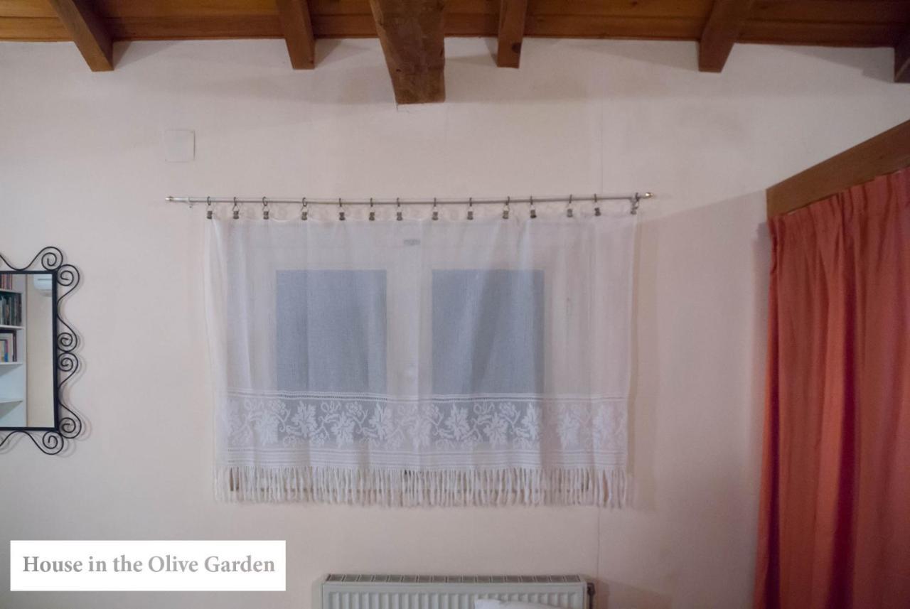 Ágios IoánnisHouse In The Olive Gardenアパートメント エクステリア 写真