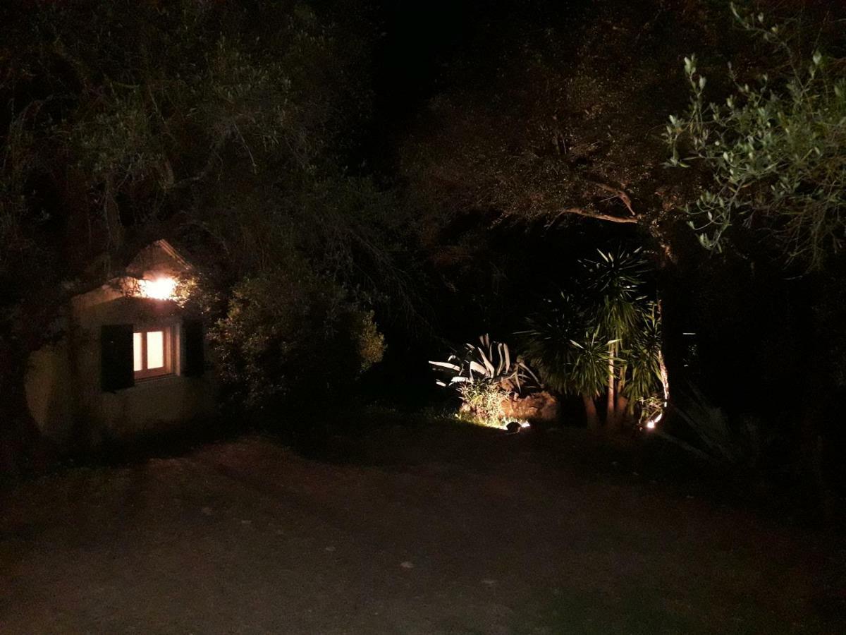 Ágios IoánnisHouse In The Olive Gardenアパートメント エクステリア 写真