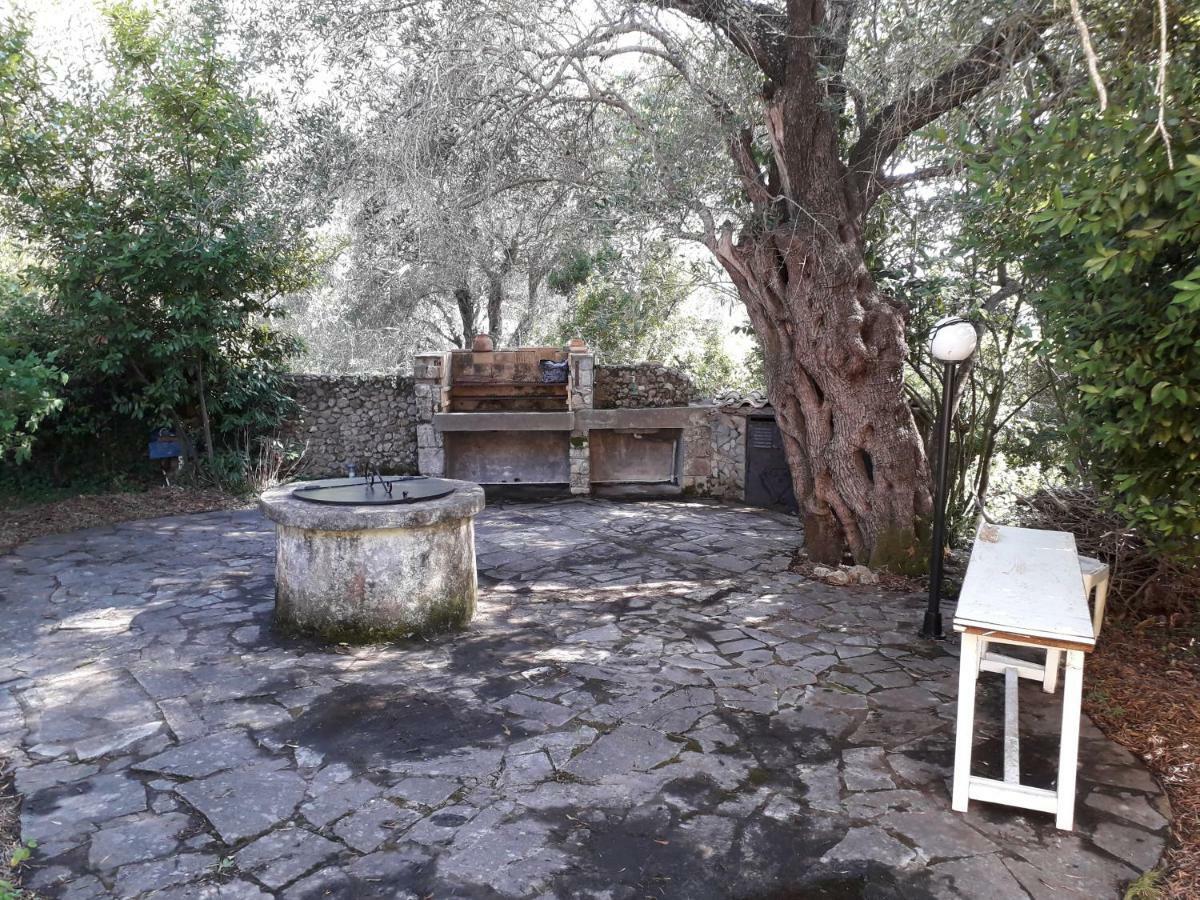 Ágios IoánnisHouse In The Olive Gardenアパートメント エクステリア 写真